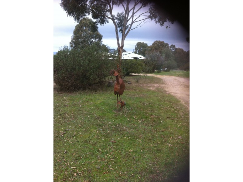 Black Range VIC 3381