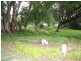 Lot 1 Aspects Drive, Lennox Head NSW 2478