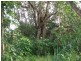 Lot 1 Aspects Drive, Lennox Head NSW 2478