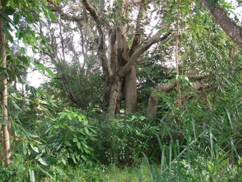 Lot 1 Aspects Drive, Lennox Head NSW 2478