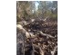 Oak Valley QLD 4811