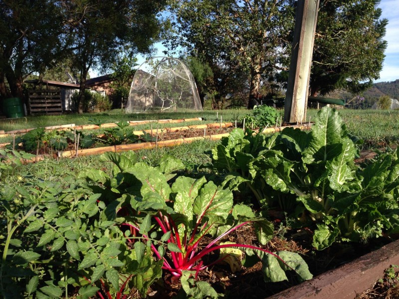 256 Turnback Road, Wherrol Flat NSW 2429