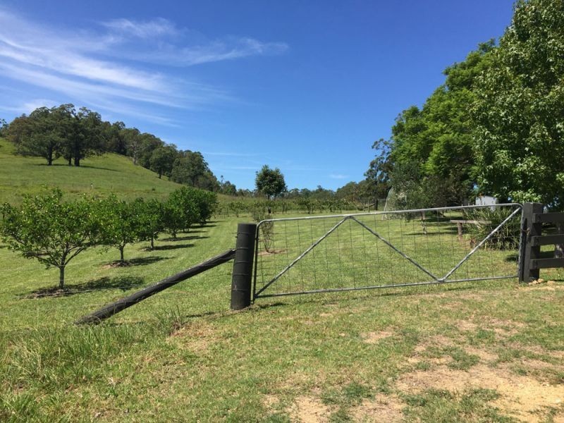 256 Turnback Road, Wherrol Flat NSW 2429