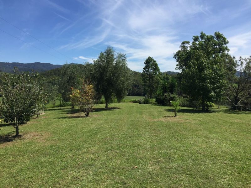 256 Turnback Road, Wherrol Flat NSW 2429