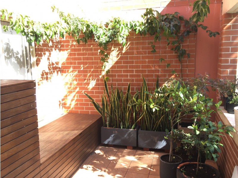 n103/233 Harris Street, Pyrmont NSW 2009