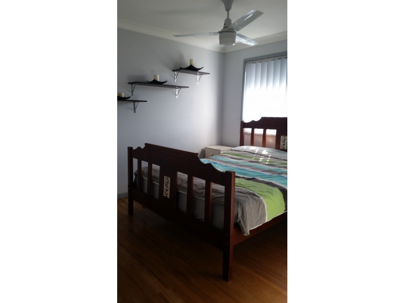 41 Burstall Ave, Belmont QLD 4153