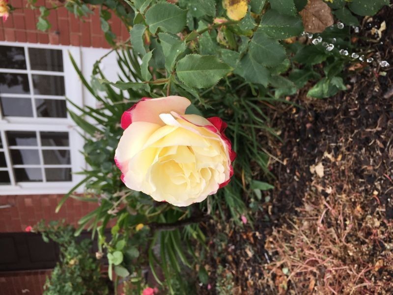 5/159 Walkerville Terrace, Walkerville SA 5081