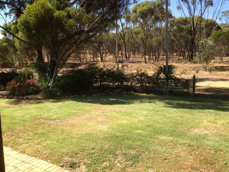 8 Moss St, Narrogin WA 6312