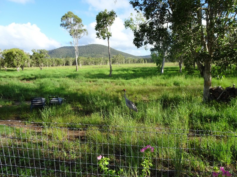 7 Jean Dowie Court, Barmaryee QLD 4703