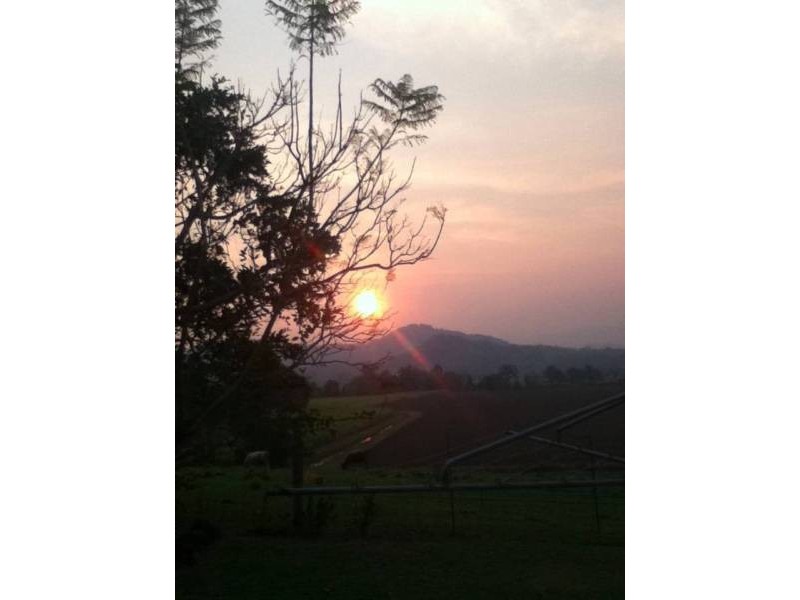 Murwillumbah NSW 2484