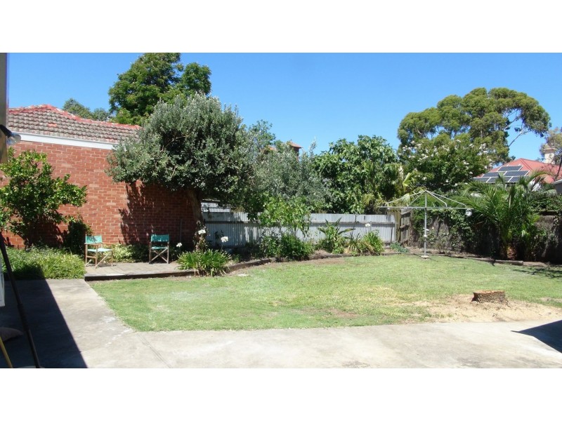 17 ALFRED ST, Parkside SA 5063