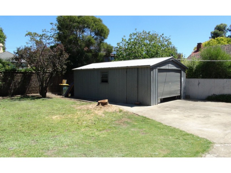 17 ALFRED ST, Parkside SA 5063