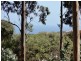 Lot Lot 7, 48 Cole road, Delamere SA 5204