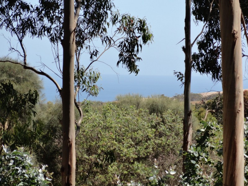 Lot Lot 7, 48 Cole road, Delamere SA 5204