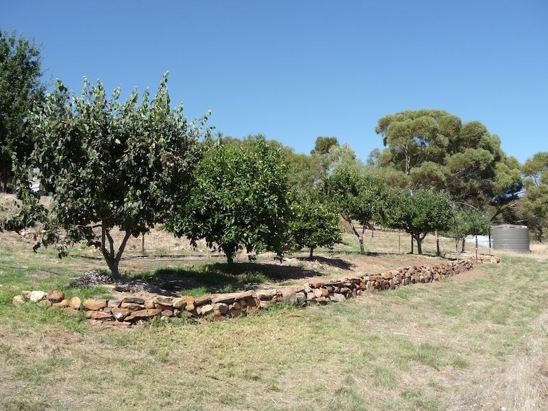 234 Hicks Road, Armagh SA 5453