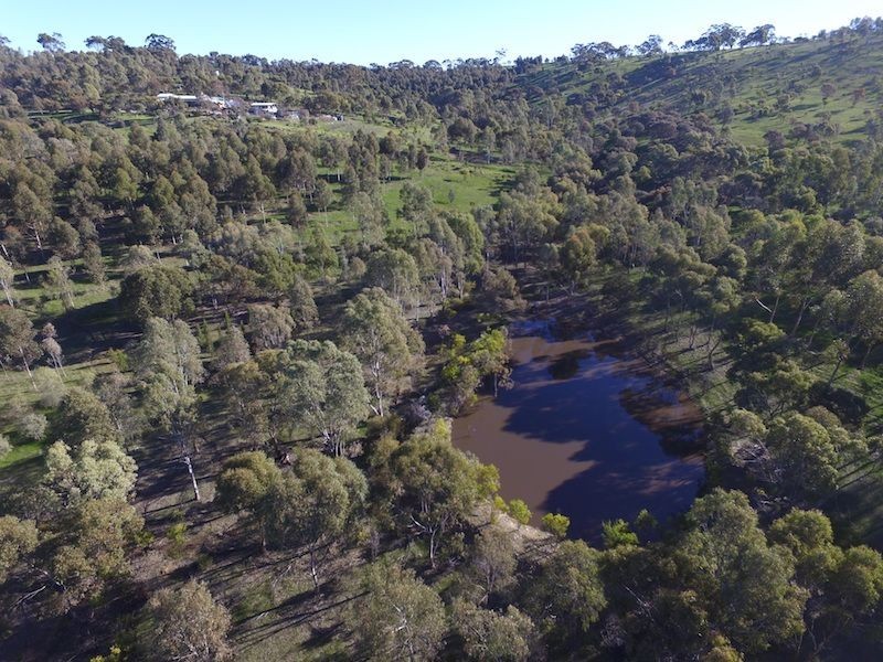 234 Hicks Road, Armagh SA 5453