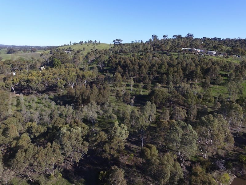 234 Hicks Road, Armagh SA 5453