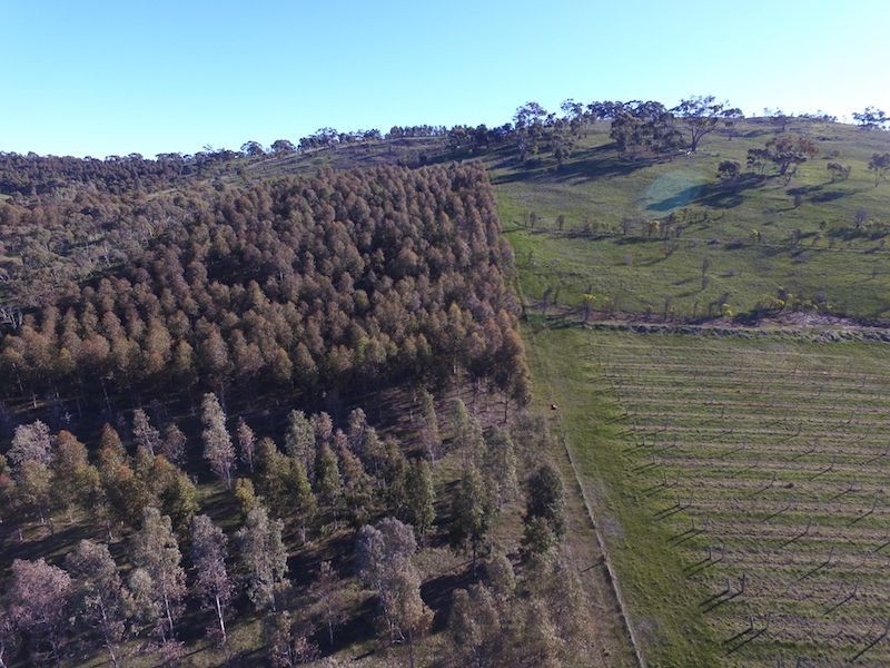 234 Hicks Road, Armagh SA 5453