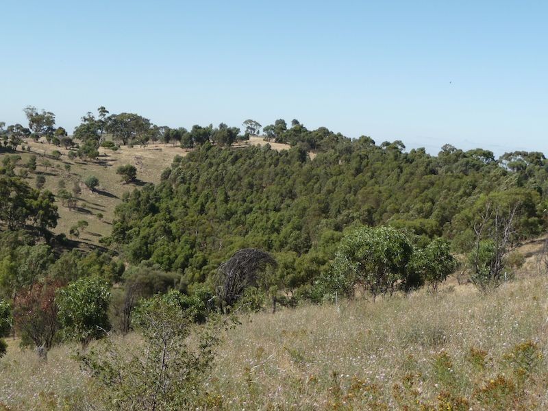 234 Hicks Road, Armagh SA 5453