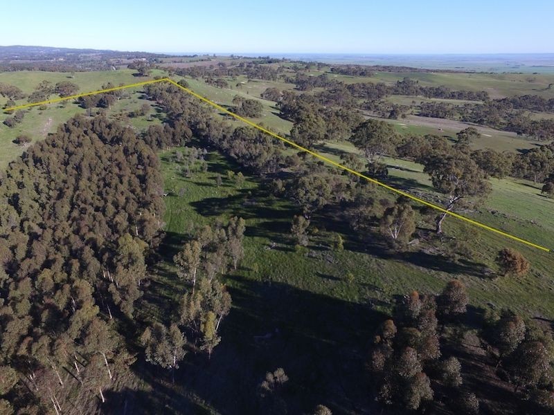 234 Hicks Road, Armagh SA 5453