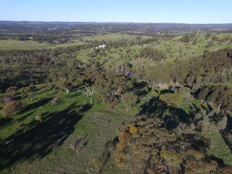 234 Hicks Road, Armagh SA 5453