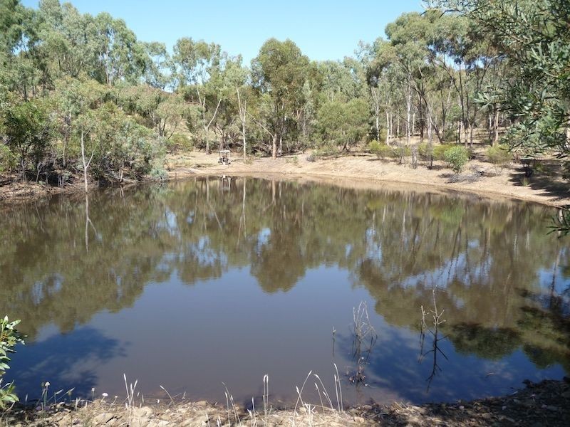 234 Hicks Road, Armagh SA 5453