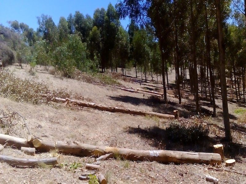 234 Hicks Road, Armagh SA 5453