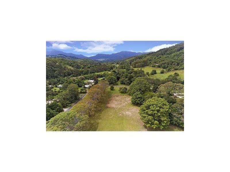 1468 Numinbah Rd, Chillingham NSW 2484