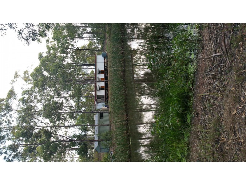Muirlea QLD 4306
