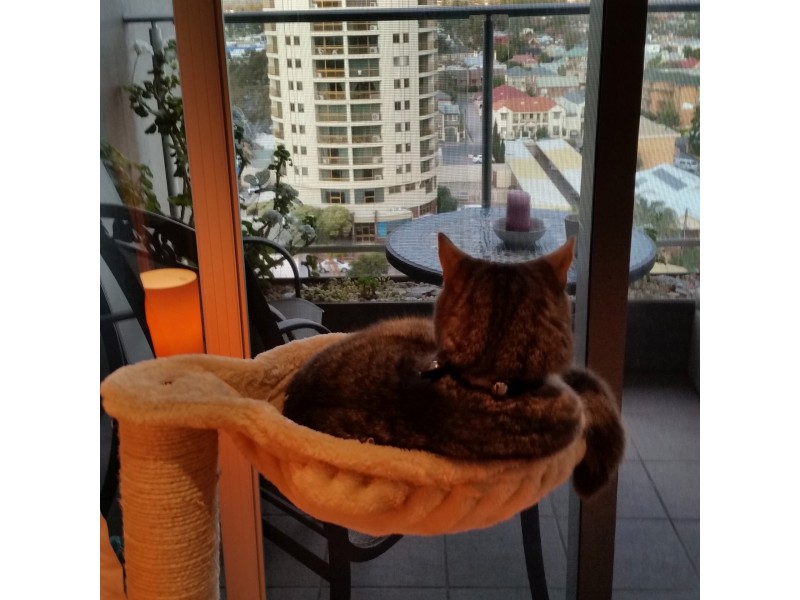 1017/27 Colley Tce, Glenelg SA 5045