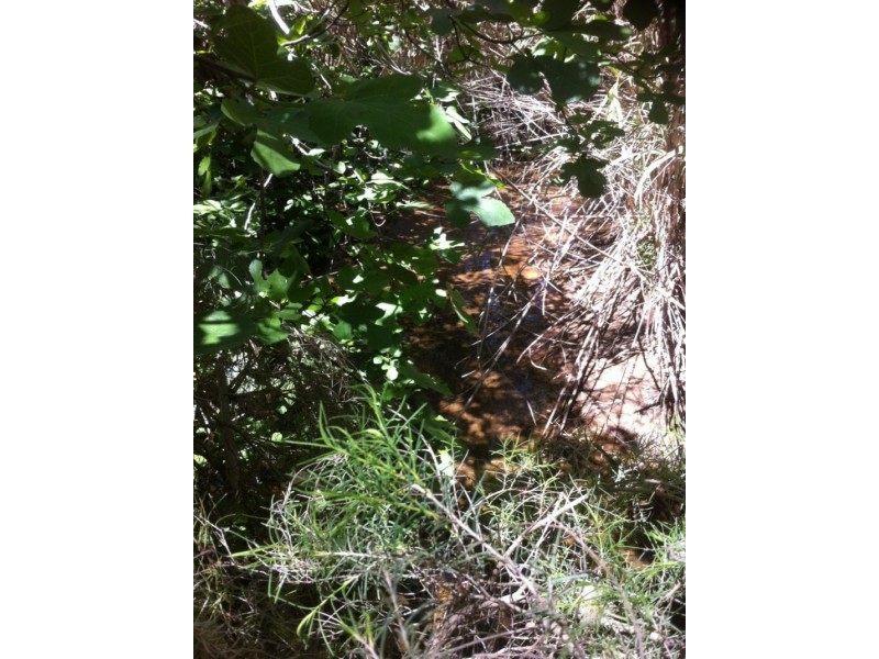 138 Loton Road, Millendon WA 6056