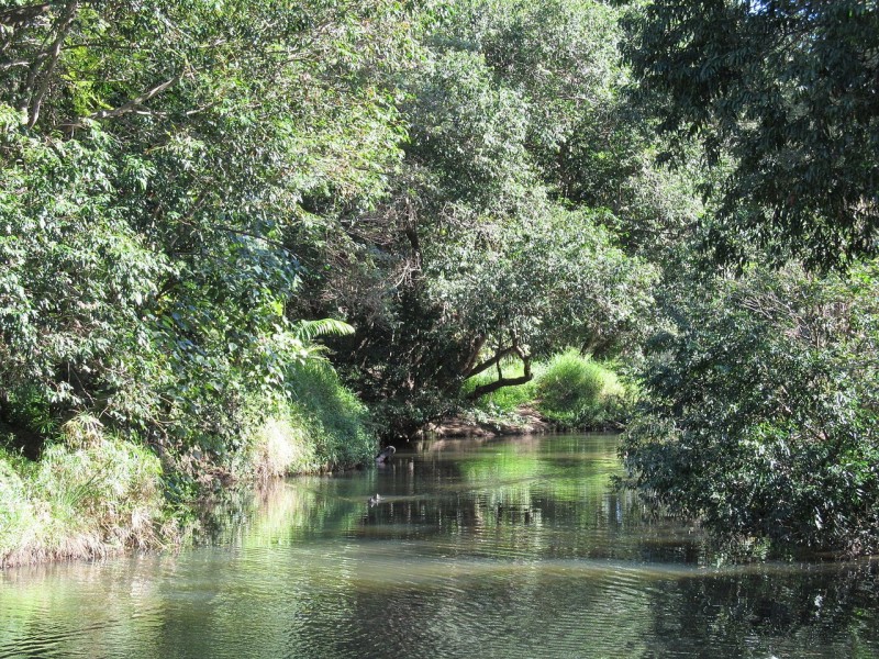 16 Coles Street, Arana Hills QLD 4054