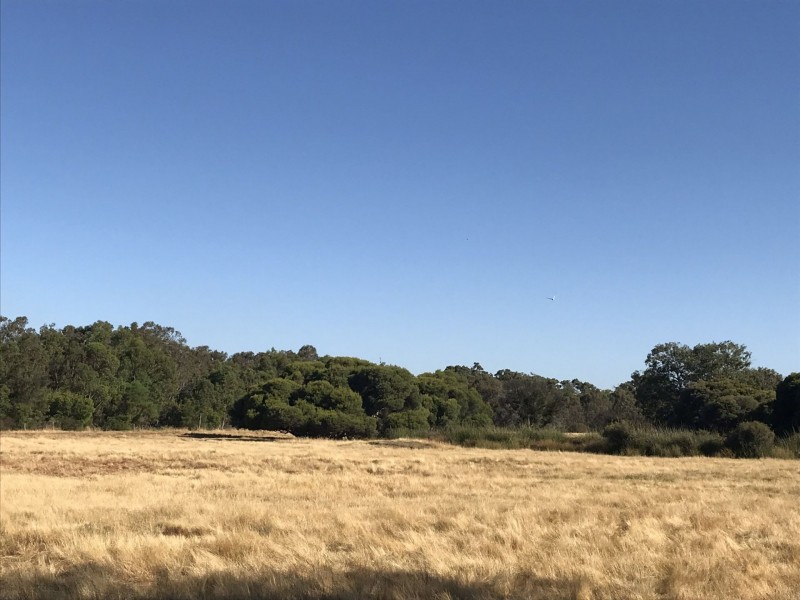 130 Paris Road, Australind WA 6233