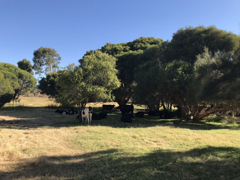 130 Paris Road, Australind WA 6233