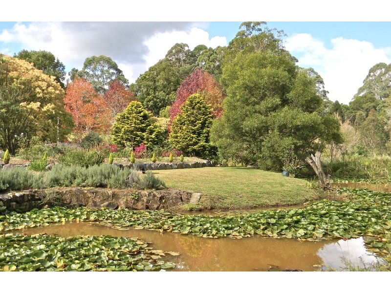 21 Church Road, Witta QLD 4552