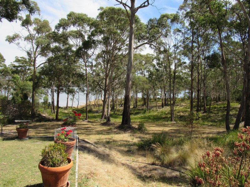 North Bruny TAS 7150