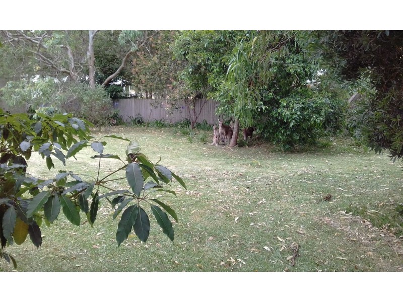 18 Merry St, Kioloa NSW 2539