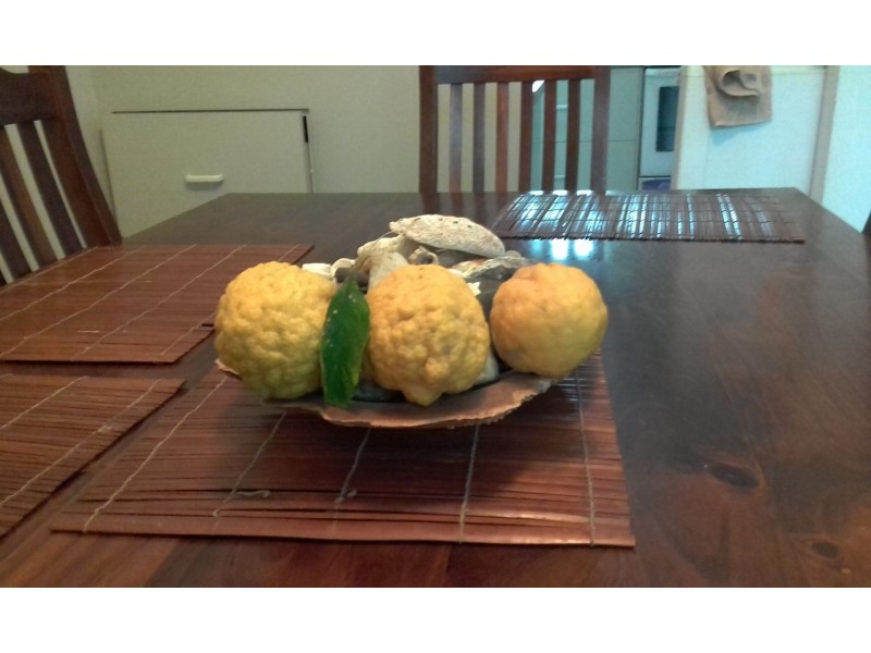 18 Merry St, Kioloa NSW 2539