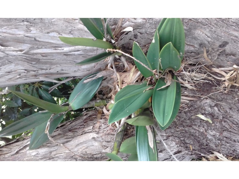 18 Merry St, Kioloa NSW 2539