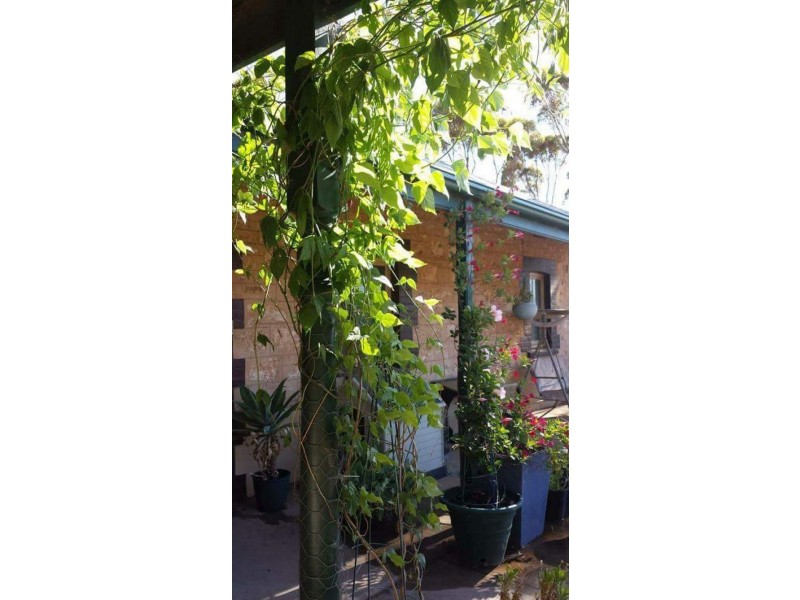 1292 MAIL ROAD, South Hummocks SA 5550