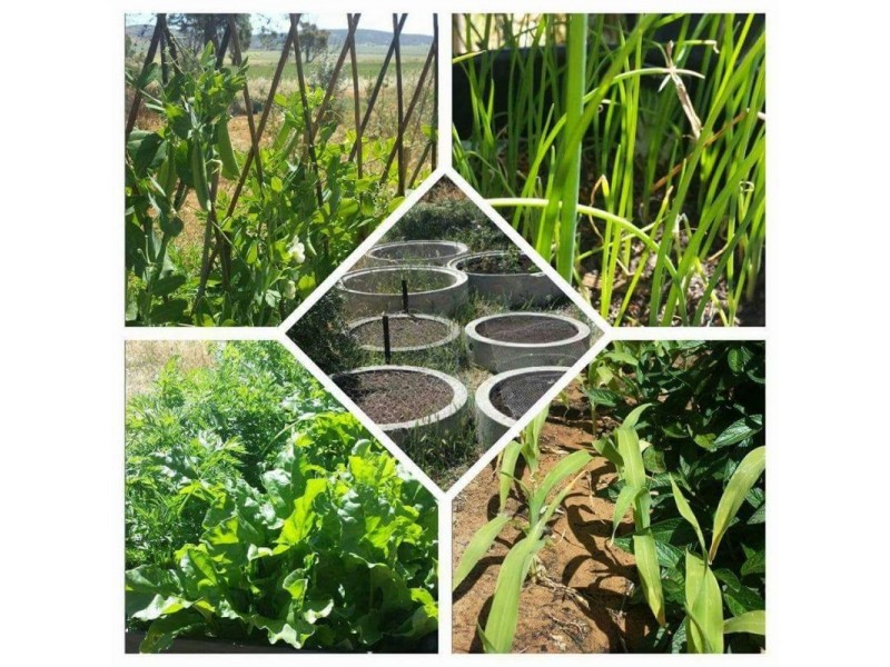 1292 MAIL ROAD, South Hummocks SA 5550