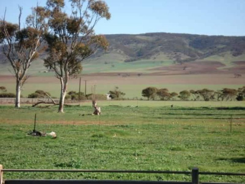 1292 MAIL ROAD, South Hummocks SA 5550