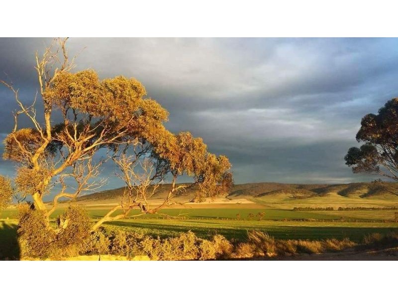 1292 MAIL ROAD, South Hummocks SA 5550