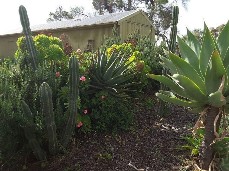 1292 MAIL ROAD, South Hummocks SA 5550