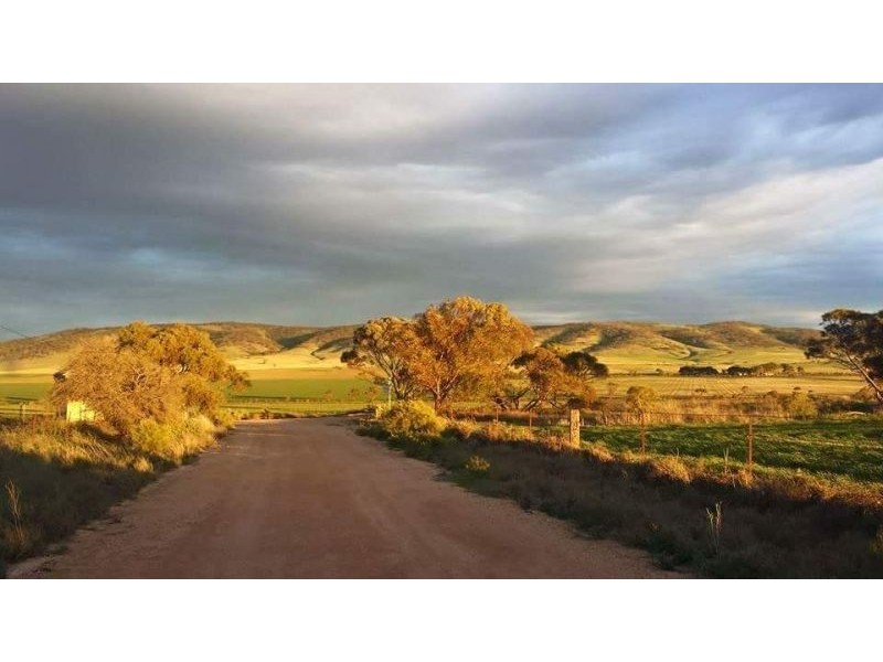 1292 MAIL ROAD, South Hummocks SA 5550