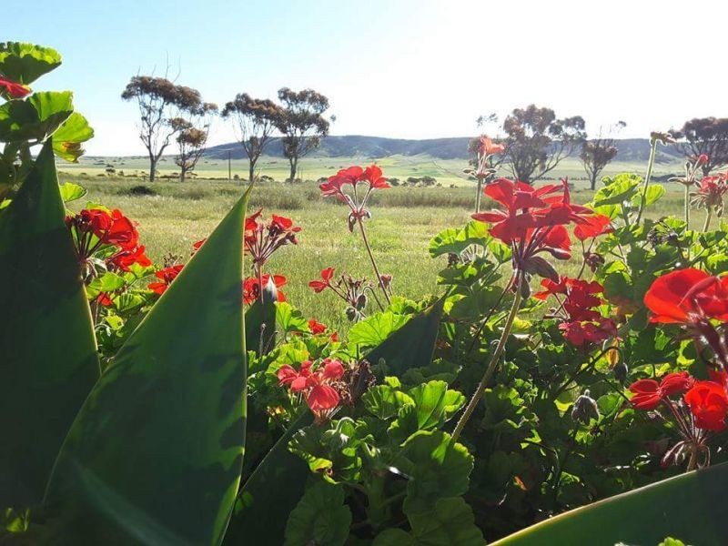 1292 MAIL ROAD, South Hummocks SA 5550