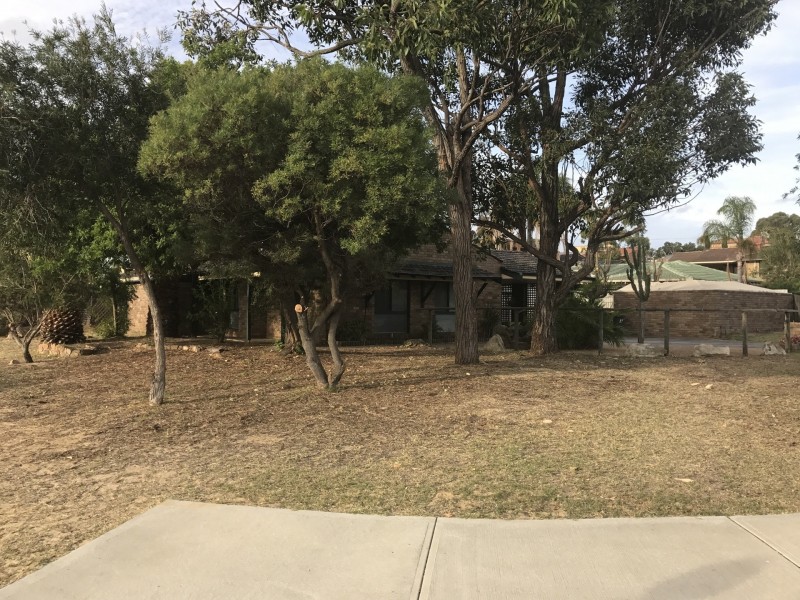 15 Camelot St, Carine WA 6020