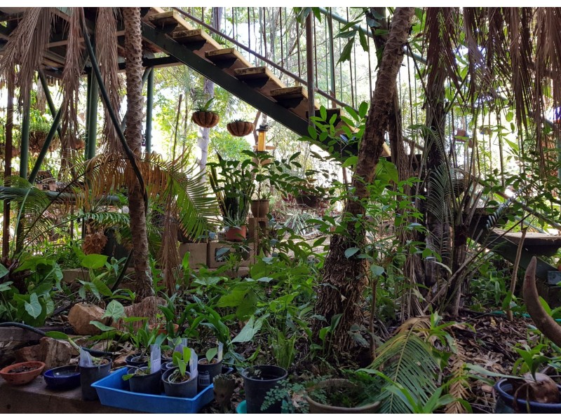 84 Macrossan street, Ravenswood QLD 4816