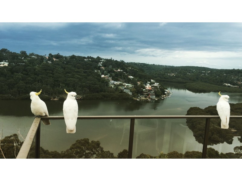 138 Fowler Road, Illawong NSW 2234