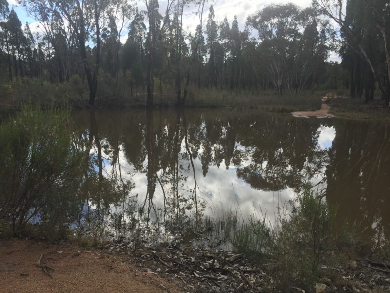 708 Yarrawong Rd, Yarrawonga NSW 2850